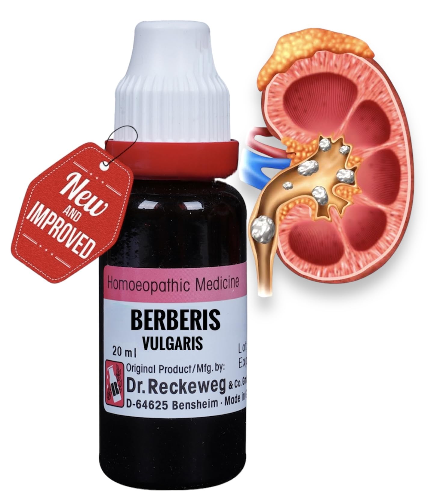 Dr Reckeweg Berberis Vulgaris Mother Tincture Q (20ml)- Orignal_Imported (B0CWDMF5J3) Amazon Price History, Amazon Price Tracker