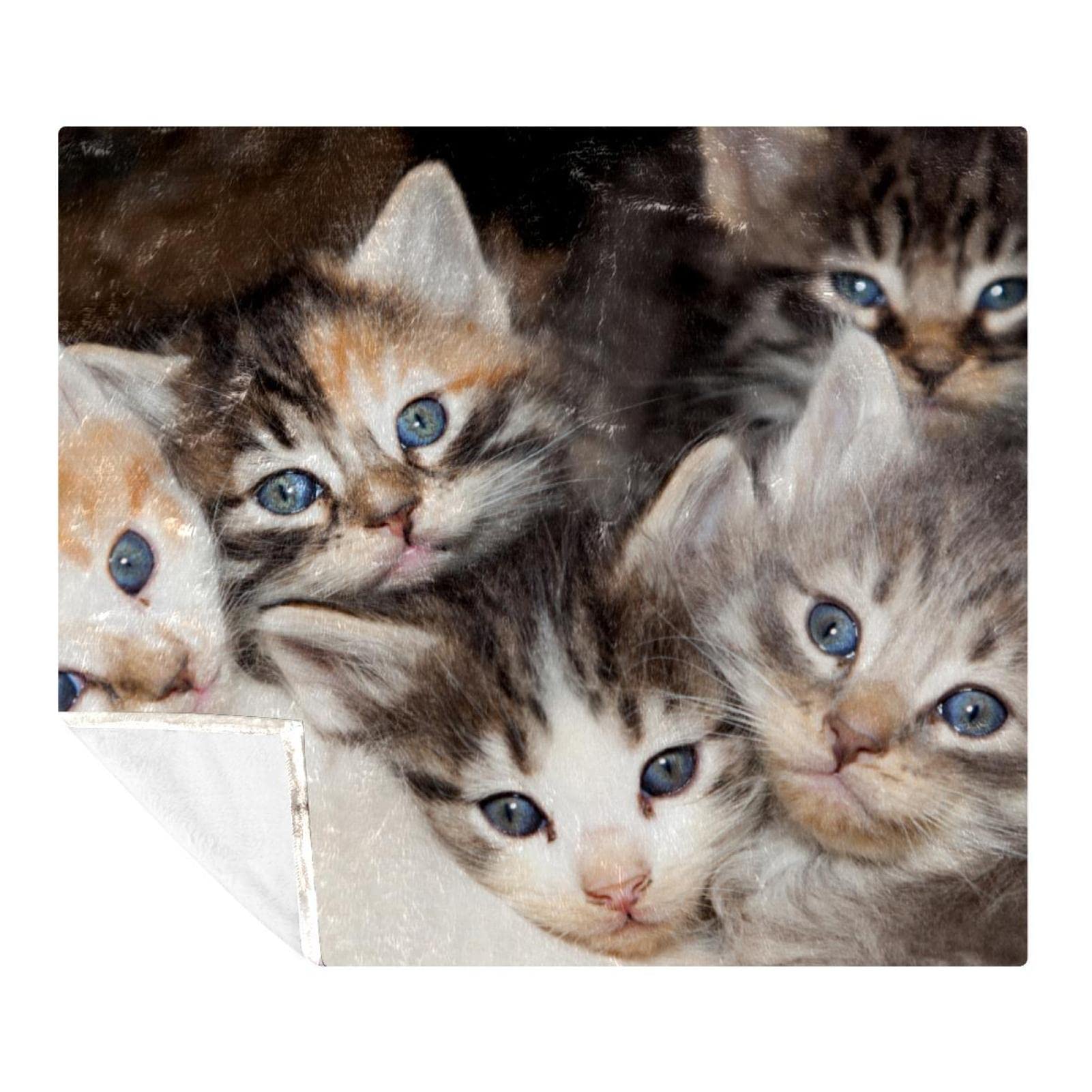 Couverture polaire chats mignons pour lit et canapé de chambre