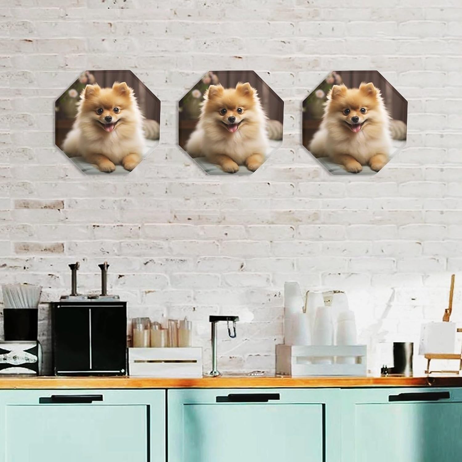 Ctagon Metal Sign for Home, Modern Display Plate for Kitchen, Cute Pomeranian Dog Plates Accent Hanging Wall Decorations 3PCS for Living Room, Bedroom, Hallway, Hotel