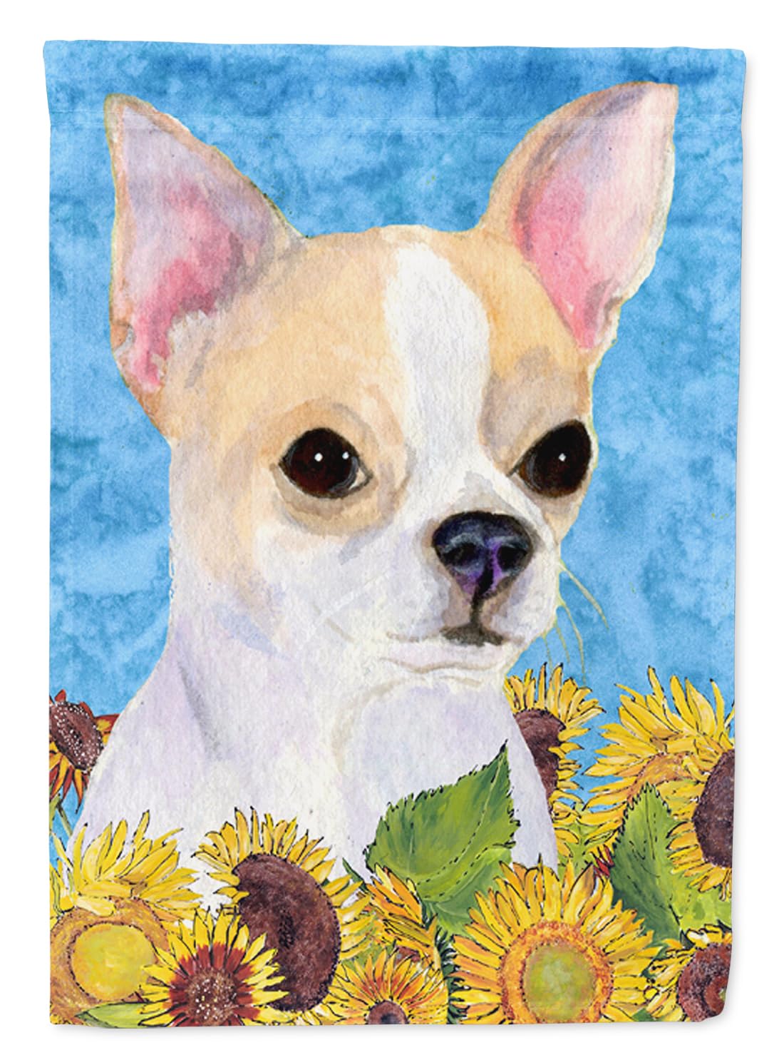 Drapeau Chihuahua multicolore pour décorer votre jardin et allée