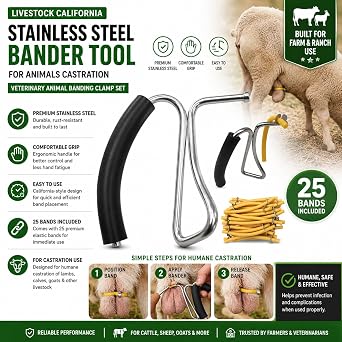 Livestock California Stainless Steel Clamp or Bander & Bands 25 pk Set Banding Tool. for Animal Cast Use. Easy to Use Stainless Steel Veterinary