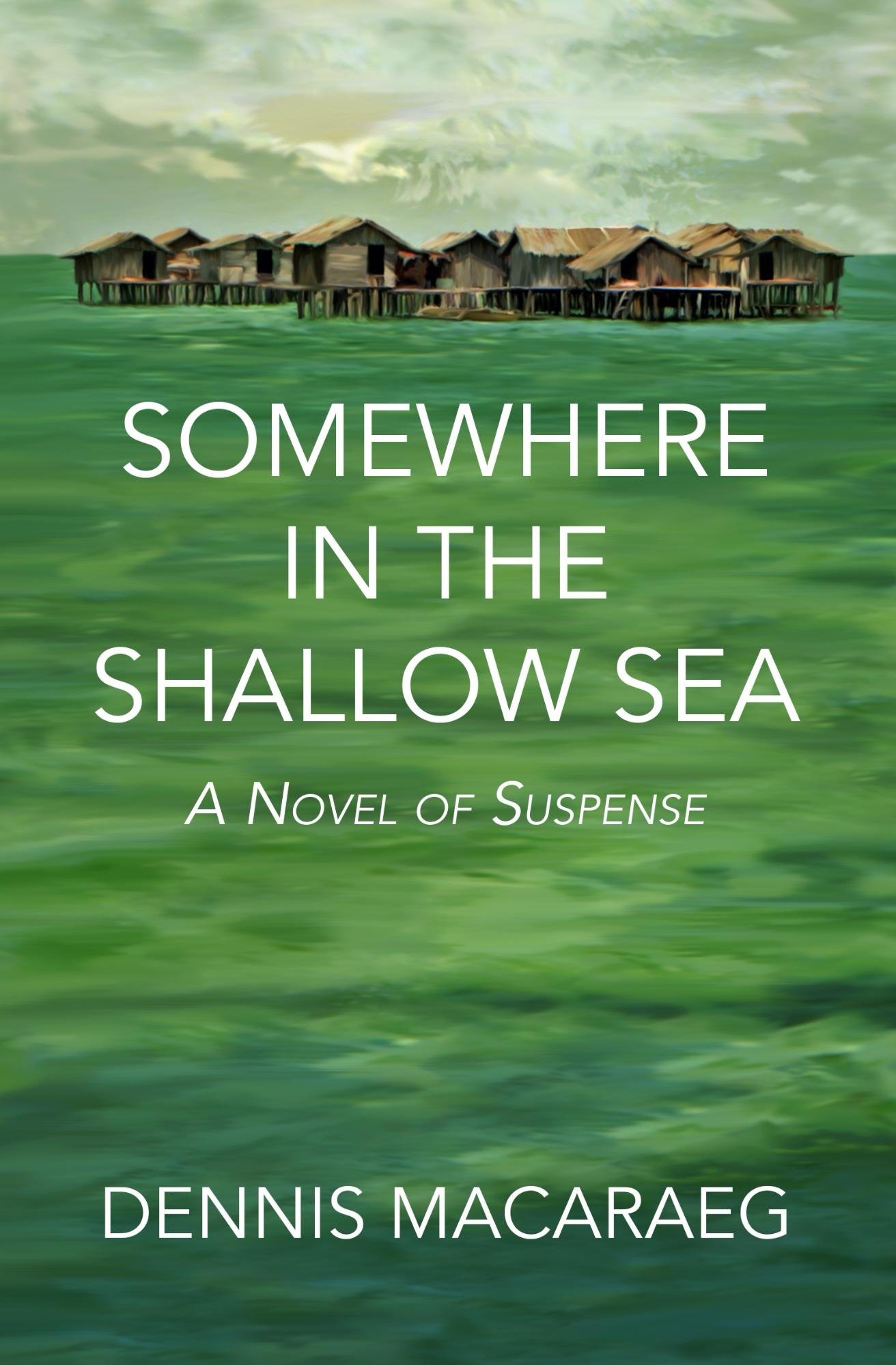 Somewhere in the Shallow Sea: A Novel of Suspense