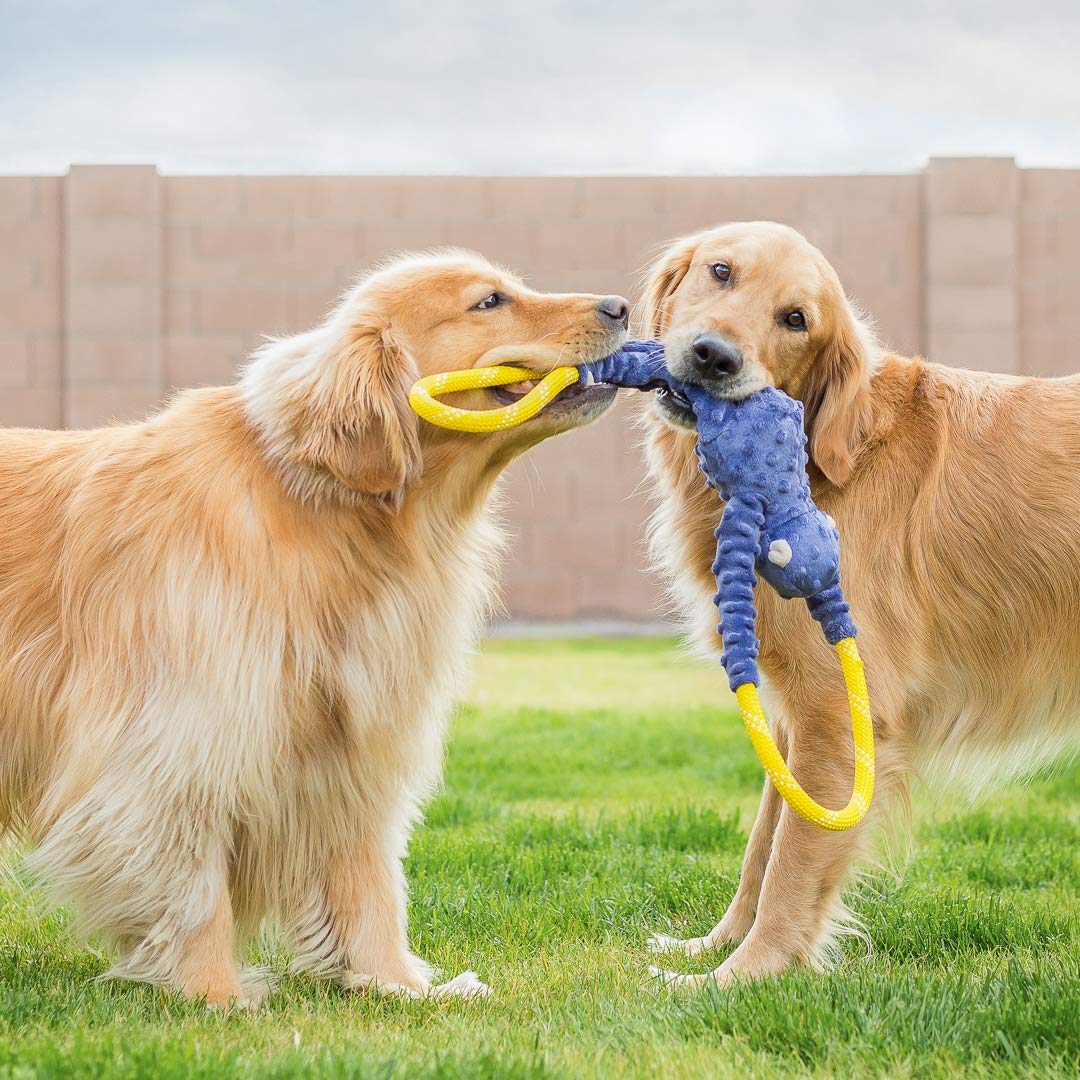 zippy paws monkey rope
