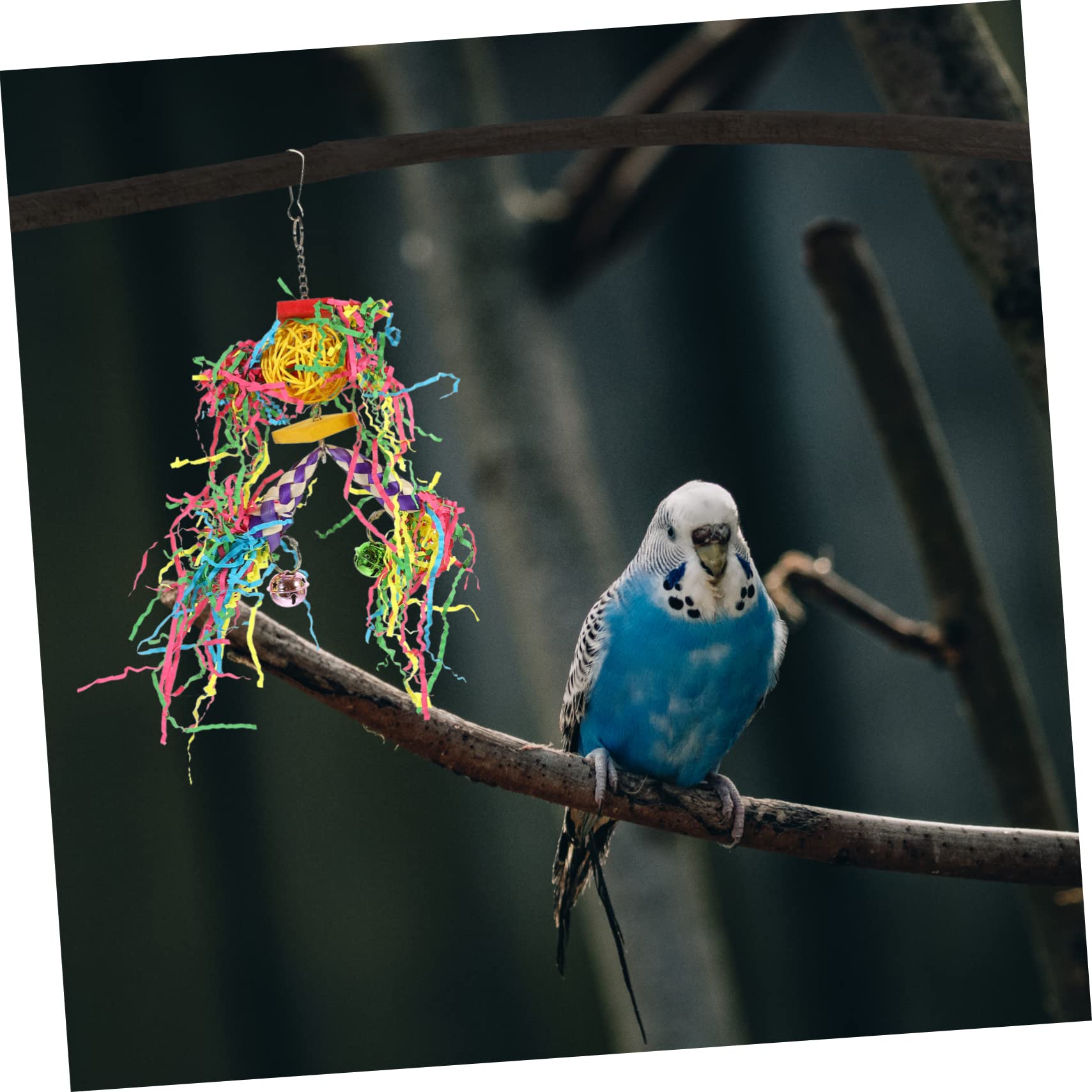 BESPORTBLE Lot De 2 Jouets À Mordre pour Perroquets Balançoires pour Perroquets Jouets À Mâcher pour Oiseaux À Mordre pour Et Oiseaux