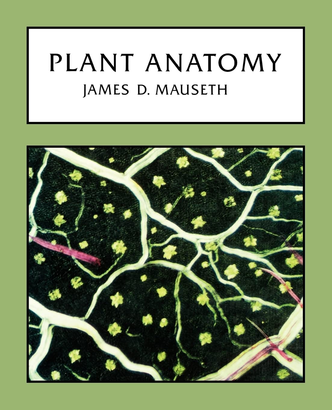 Plant Anatomy Paperback – June 1, 2008