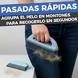 Ver la foto 7