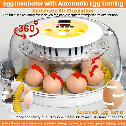 Miniatura 2 de Incubadoras de huevos para incubar huevos con girador automático de huevos, 8 incubadoras para huevos de gallina con vela de huevos para pollo