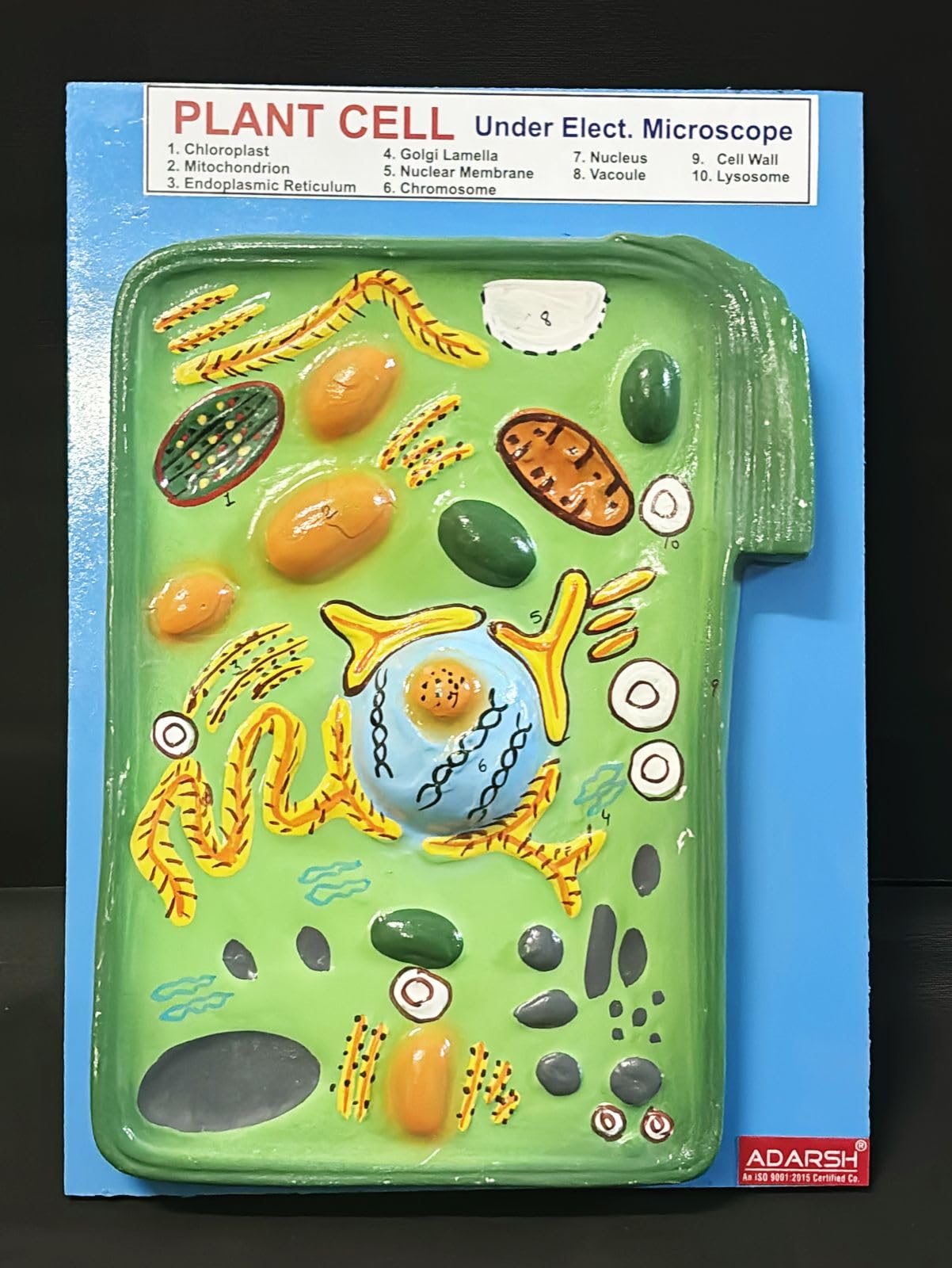 AI-Plant Cell Model/Anatomical Model/Biological Lab Model/Educational Model/Laboratory Product/10"x15" (B09YP2SFV1) Amazon Price History, Amazon Price Tracker