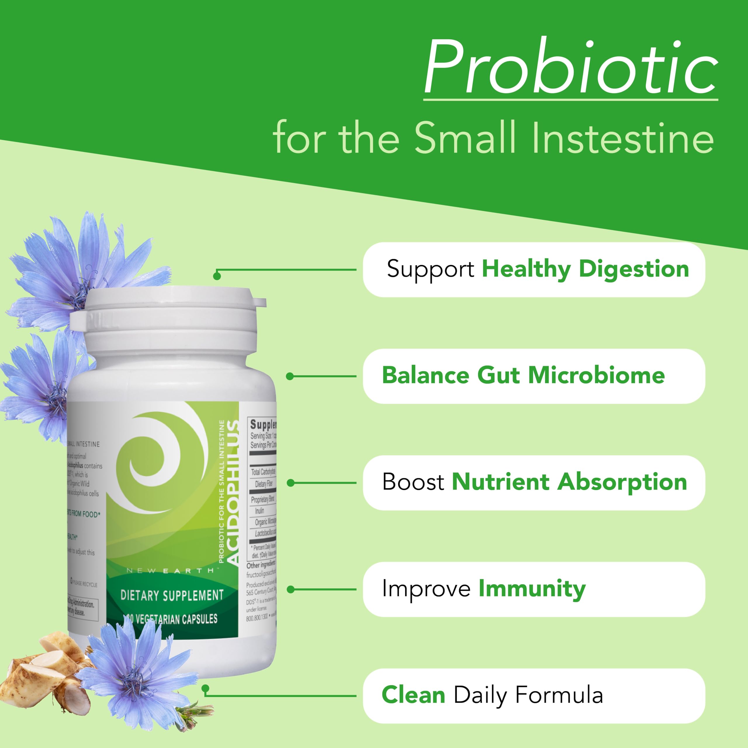 Amazon.com: New Earth Acidophilus Lactobacillus DDS-1 - Probiotic