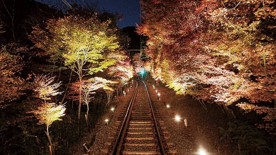 青もみじと紅葉の叡山電鉄 全線 出町柳~鞍馬・昼夜2往復  z2zed1b Amazon.co.jp: 青もみじと紅葉の叡山電鉄 全線 出町柳~鞍馬
