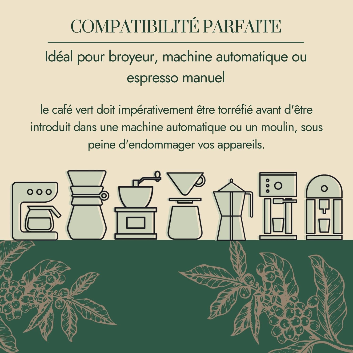 Café Vert en Grain Indonésie Java Jampit 1kg | 100% Arabica Non Torréfié | Café Brut à Torréfier Maison | Arômes Cèdre, Tabac, Épices | Idéal Machine à Cafe Grain
