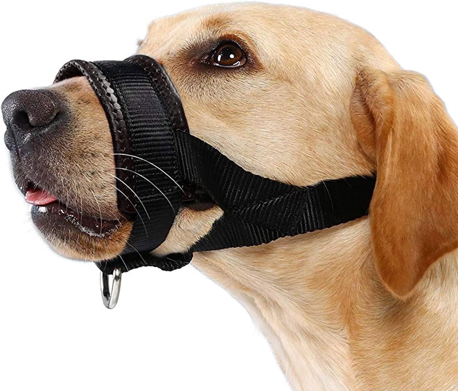 Terrifi Dog Muzzle, Soft Nylon Muzzles For Chewing, Biting, Breathable Padded Muzzle Loop Medium, Large And Extra Aggressive Dogs, Allows Panting Drinking(L,18-30Cm)