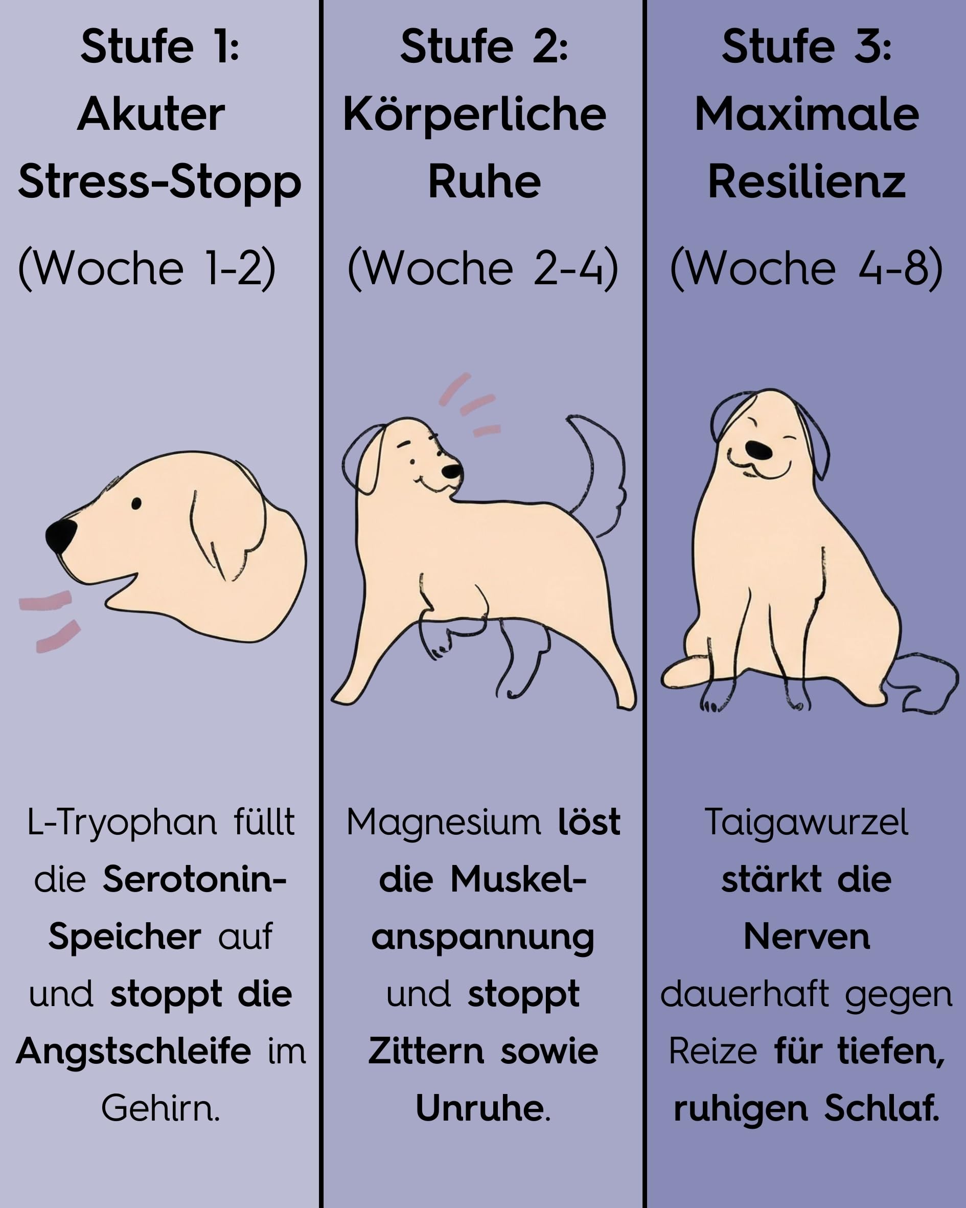 Lucky Pets NEU Beruhigungstabletten für Hunde 150 Stück – Mit L-Tryptophan, Baldrian und Hanfsaat – Bei Angst, Stress, Reisen und Silvester – Beruhigungsmittel für Hunde – Made in Germany