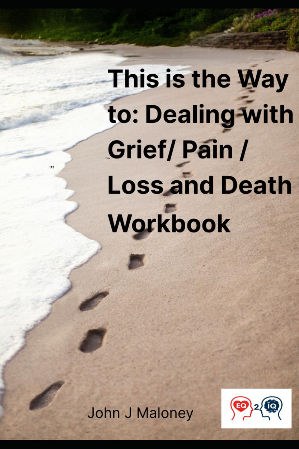 This is the Way to: Dealing with Grief/ Pain/ Loss and Death Workbook