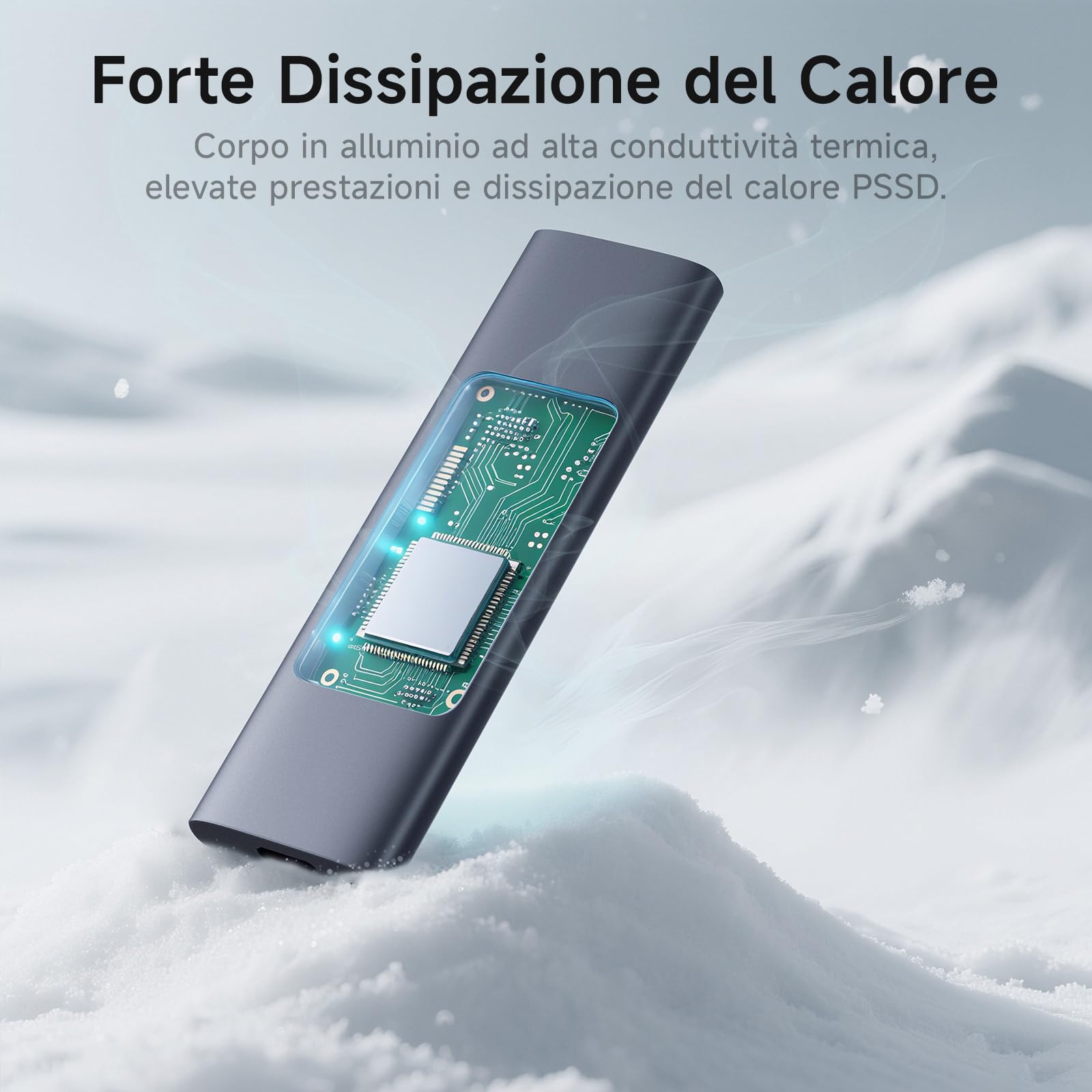 fanxiang SSD Esterna 500GB, Fino a 1000MB/s, USB 3.2 Gen 2 Tipo-C, SSD Esterna Professionale, Archiviazione Affidabile per Desktop, Laptop, Mac, Windows – PS1008