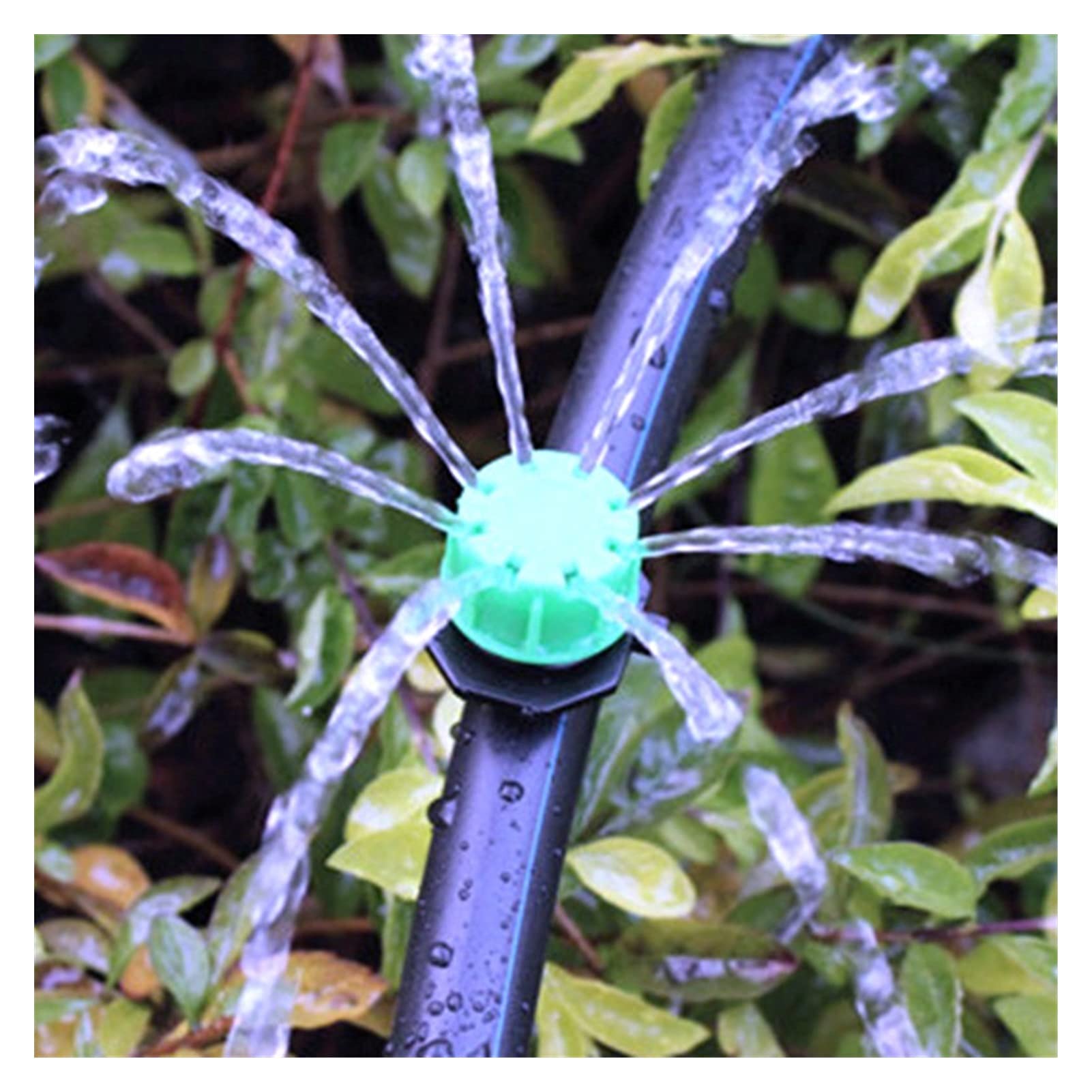 Accesorios del sistema de riego por goteo para jar 100 unids de jardinería Compensación de presión Gotero de 5 orificios / 8 orificios Dulce ajustable Púrpura/Verde Rabilación agrícola Dulce