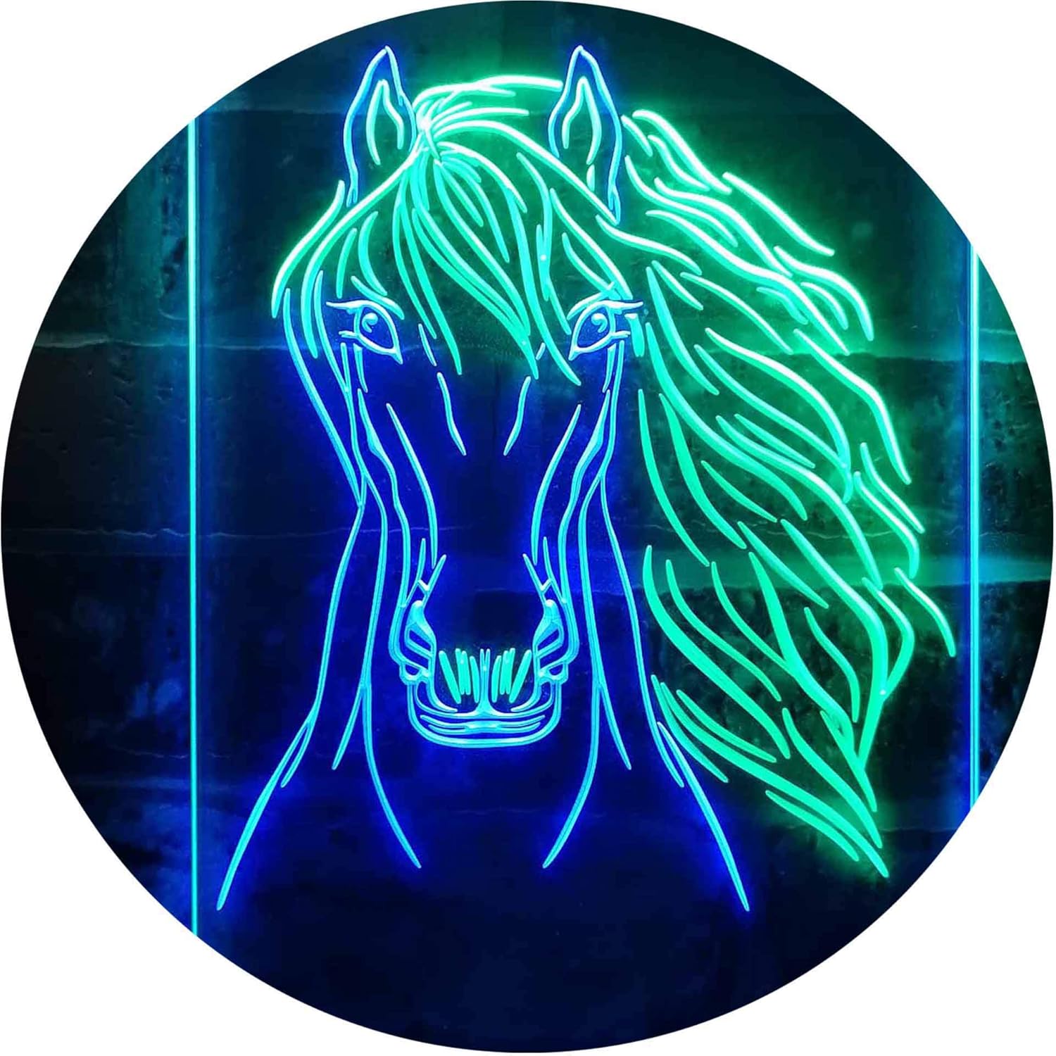 ADVPRO Horse Head Animal Display Dual Color LED Neon Sign Green & Blue 12" x 16" st6s34-i3234-gb