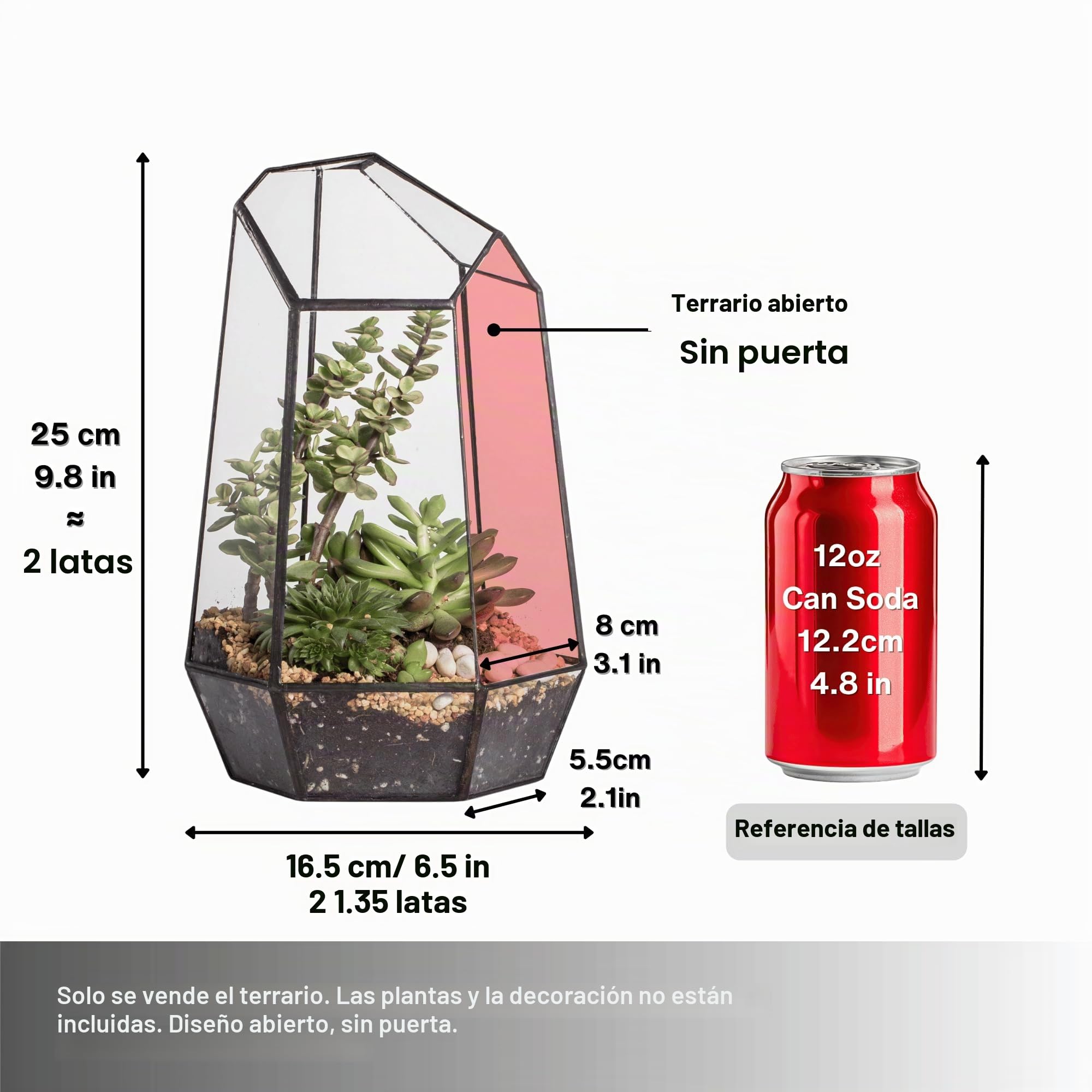 NCYP Terrario de Forma geométrica de Prisma de Cristal, 16,5x14,5x25cm, para Plantas suculentas (Solo Terrario, Sin Puerta No Hay Plantas)