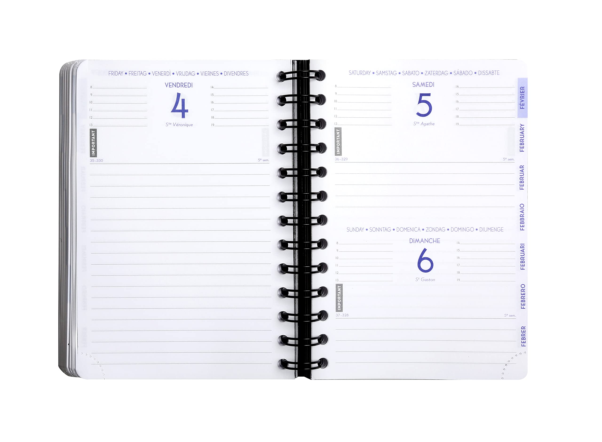 Exacompta Agenda journalier Shiny 12x17cm Août 2026 à juil 2027 Astral