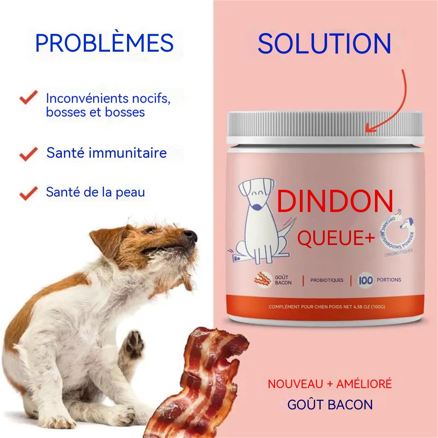Cure Immunité Probiotique+ Chien – Complément Alimentaire Vétérinaire – Digestion, Flore Intestinale & Vitalité – Saveur Bacon – Poudre à Saupoudrer sur Croquettes