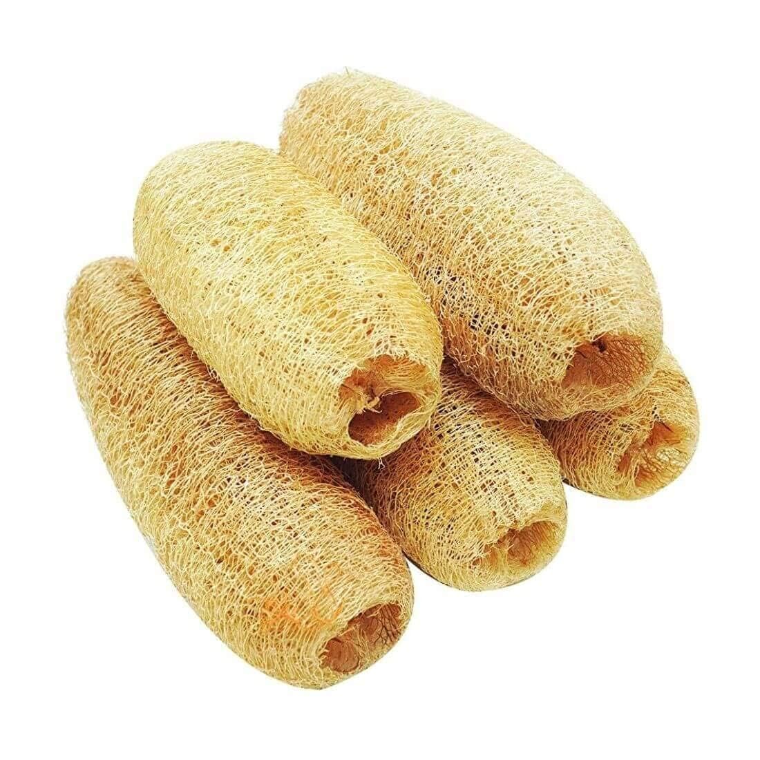 Body Scrubbers | Natural Organic Loofah Body Scrubbers for Bathing (Pack of 3)-picture-47