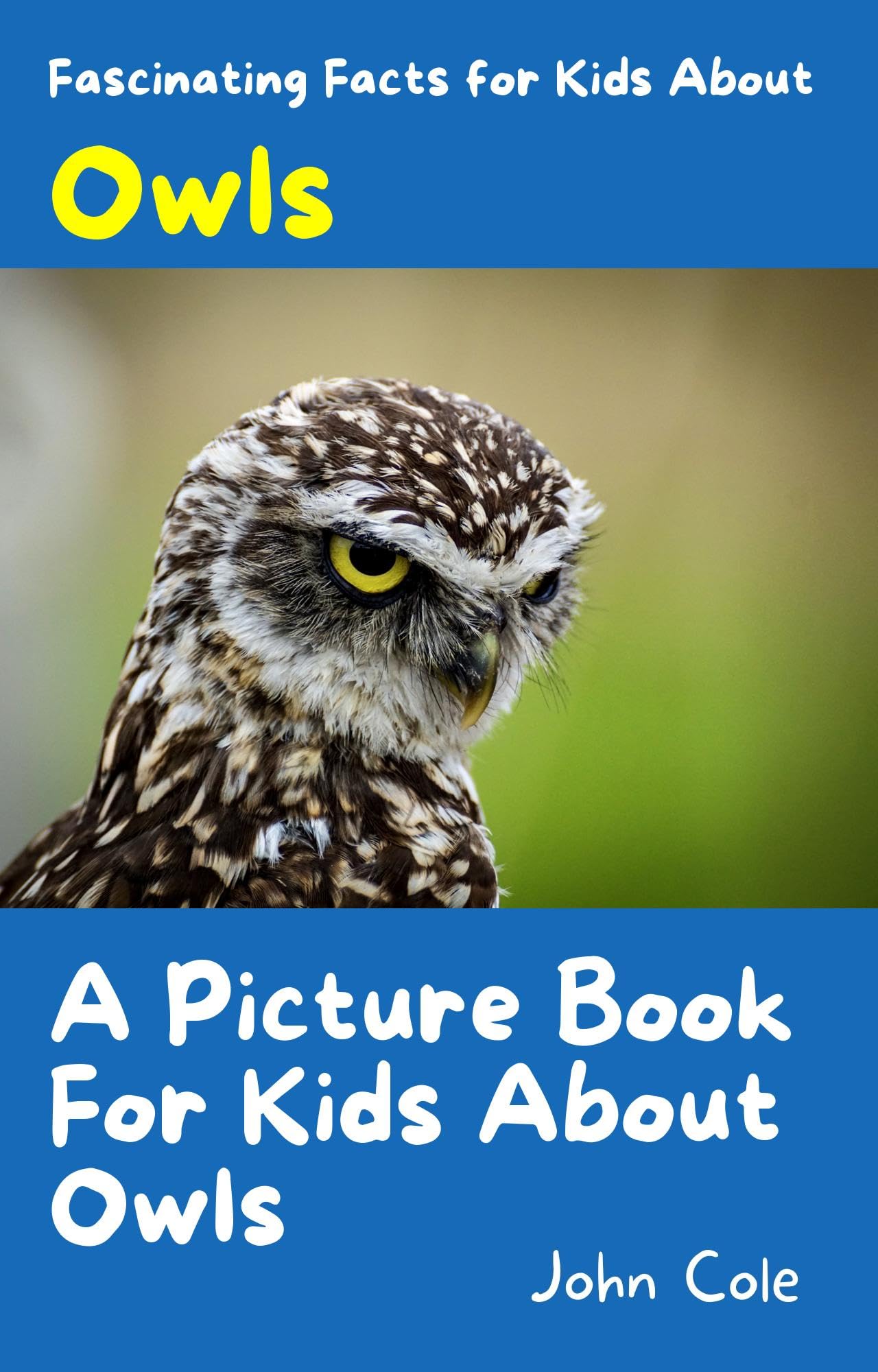 Buy A Picture Book for Kids About Owls: Fascinating Facts for Kids ...