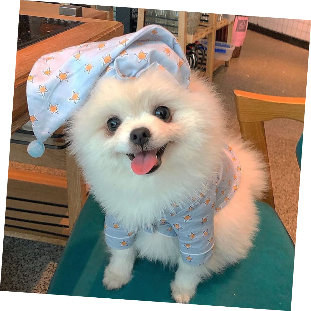 BESPORTBLE 1set Pigiama Per Cani Con Cappello Di Abbigliamento Per Animali Domestici Comodo e Leggero Design Due Zampe Per Inverno e Occasioni Speciali