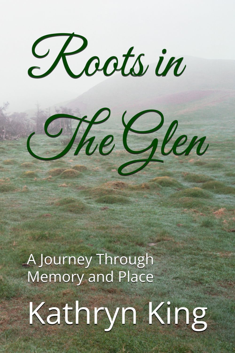 Roots in The Glen: A Journey Through Memory and Place