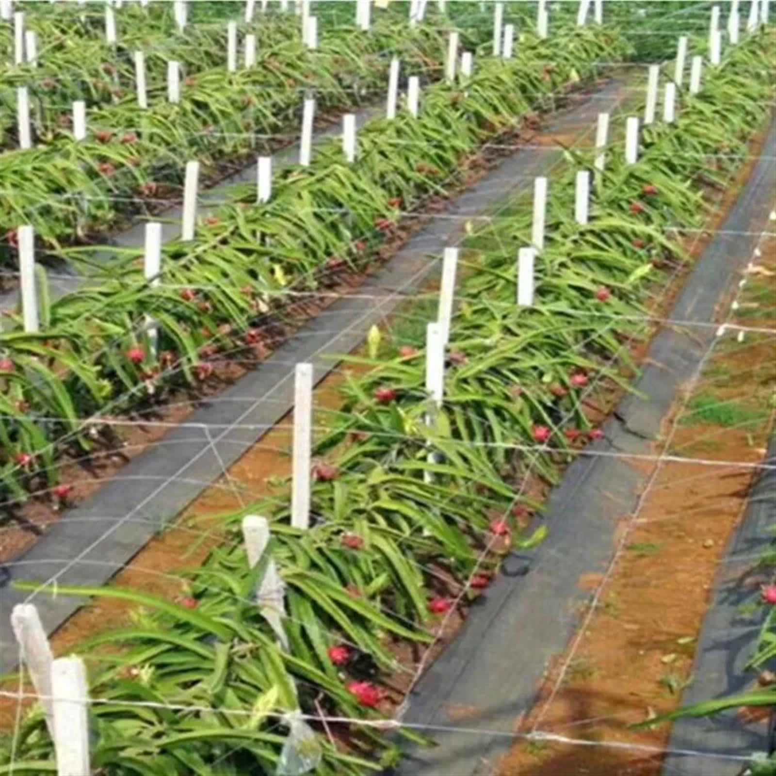 Agricoltura Barriera contro le erbacce Tessuto for il paesaggio Tappetino for la copertura del terreno Plastica for la crescita delle piante Cura del giardino Serre Attrezzi Tessuto Non Tessuto Anti E
