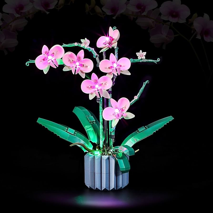 Amazon.com: BOOZUU 樂高10311 蘭花燈套組- 相容於LEGO 樂高植物