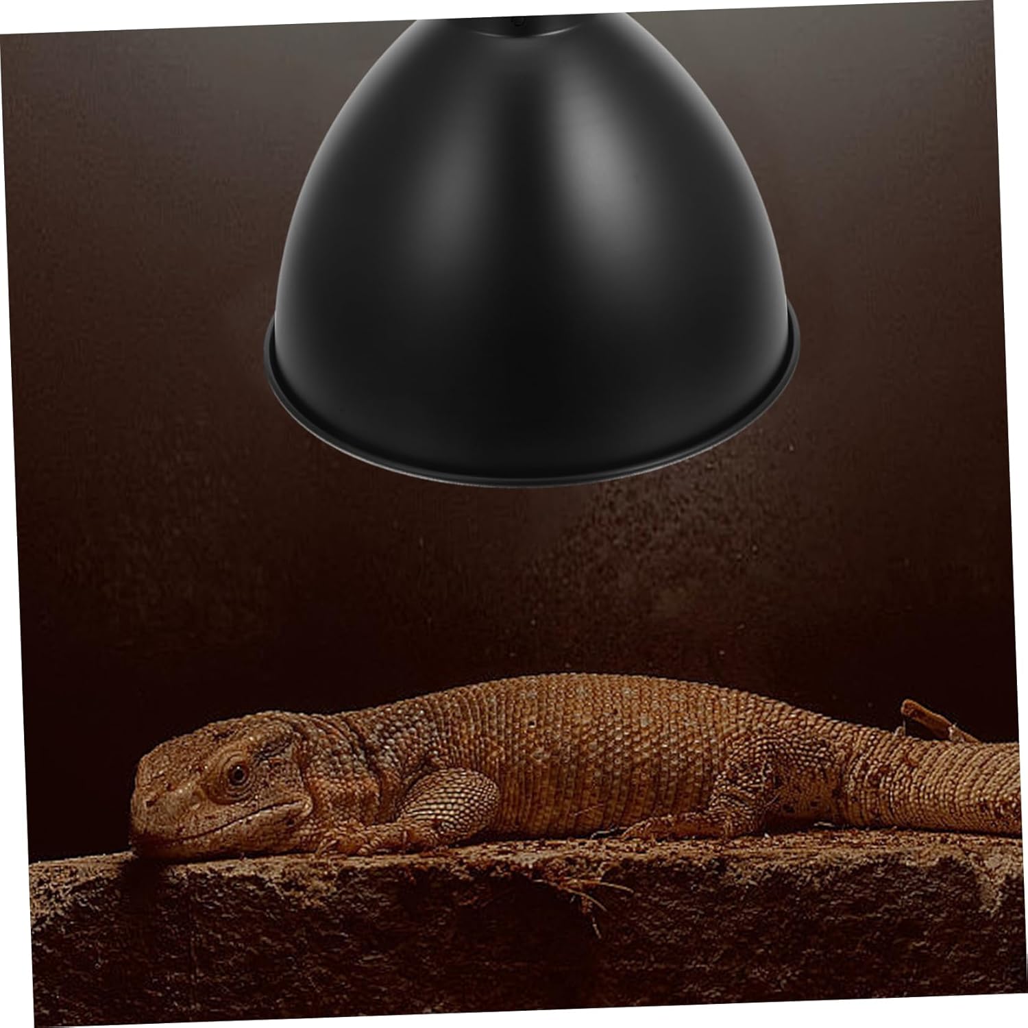 2pcs -scald Reptile Heat Lamp Reflector Cover Basking Light Shade for Optimal Light Utilization for Bearded Dragons Turtles and Lizards