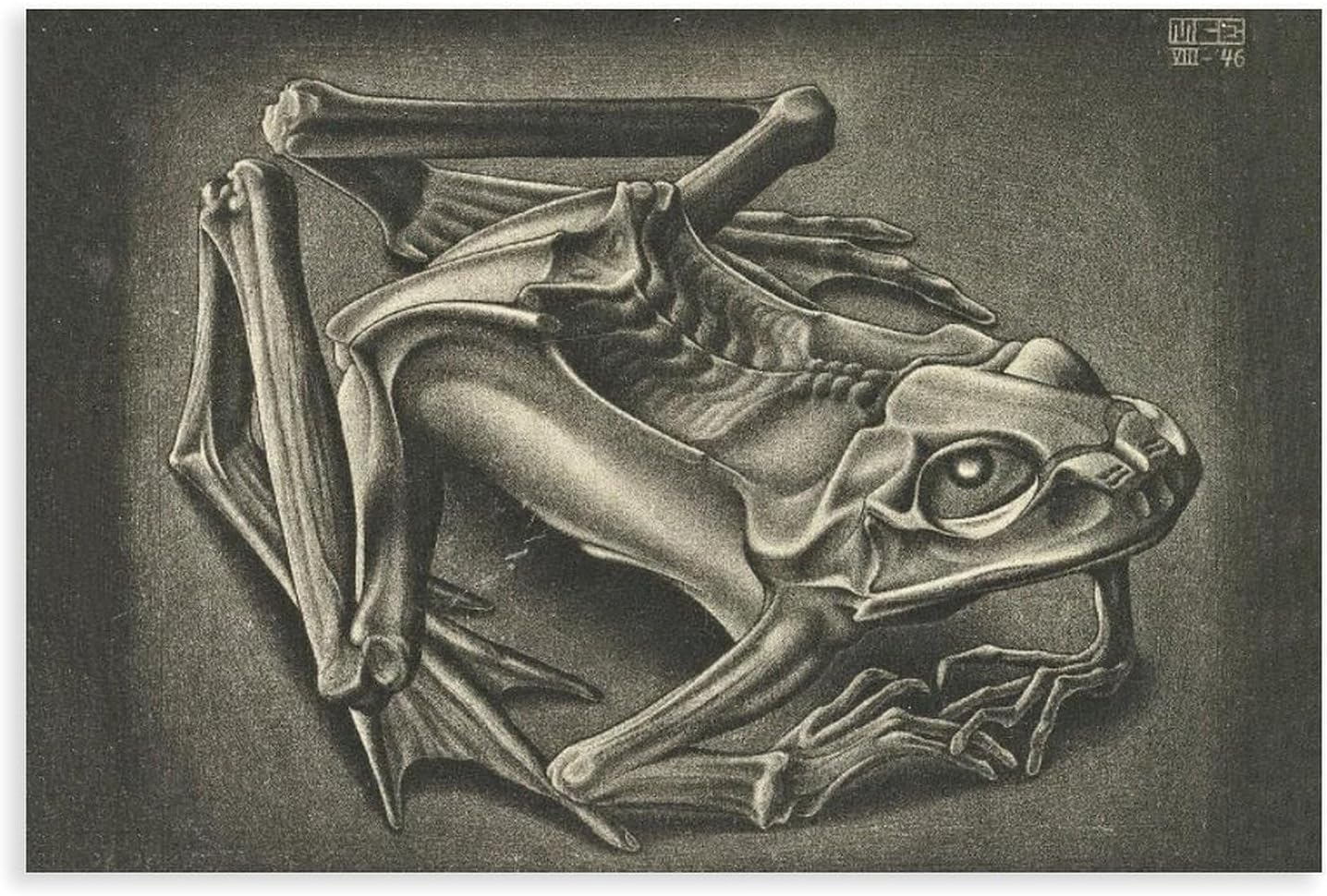 Waeta Rnvzx Mummified Frog by M.C. Escher Posters Abstract Wall Art M.C. Escher Print Modern Canvas Painting For Living Room Home Decor Picture 50x70cm No Frame