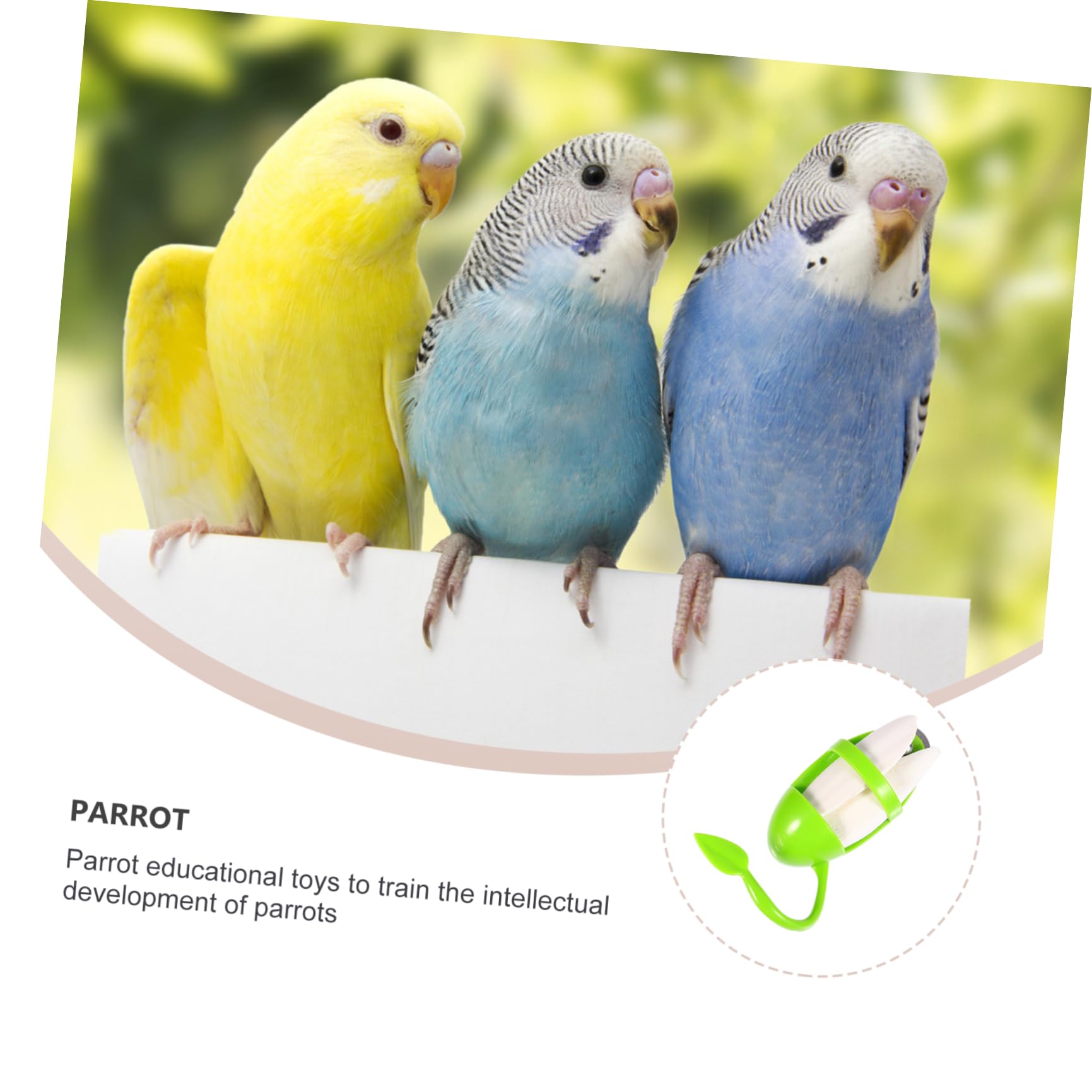 DOITOOL 6pièces Jouet à Mâcher De Seiche pour Oiseaux avec Support Suspendu Accessoire pour Perroquets Perruches Et Cockatiels
