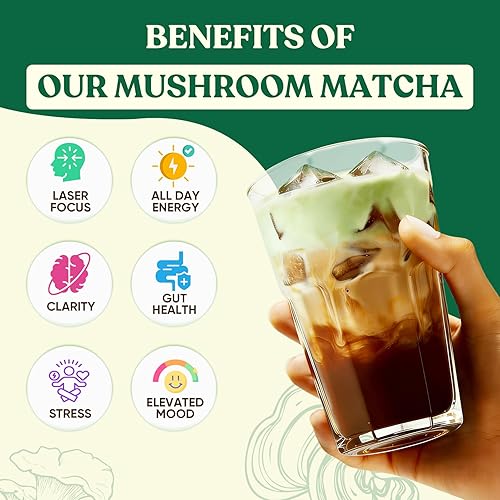 Miniatura 5 de Venture Pal SUPERFOODS - Polvo de matcha de hongos – 12 alternativas de café de hongos adaptogénicos con probióticos 1.5B y L-teanina, matcha
