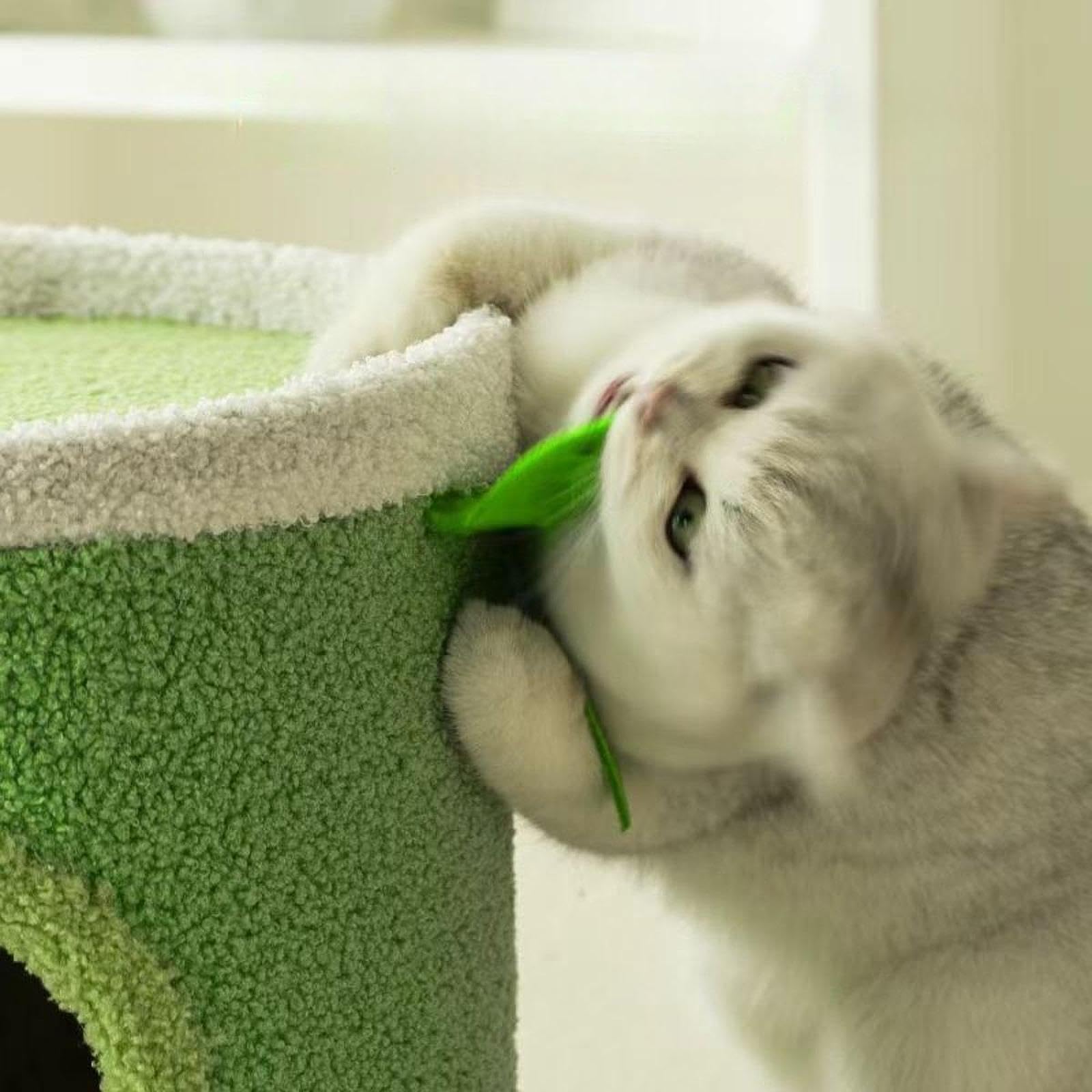 Cama para Gatos, Cubo para Gatos, Condominios, Muebles de Protección, Casa para Gatos, Rascador Y Cuenco para Gatos para Múltiples Mascotas Pequeñas,
