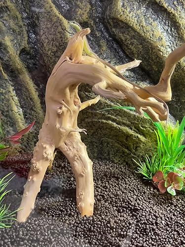 Amazon | 流木 水族館シンクエイブル流木水槽の装飾