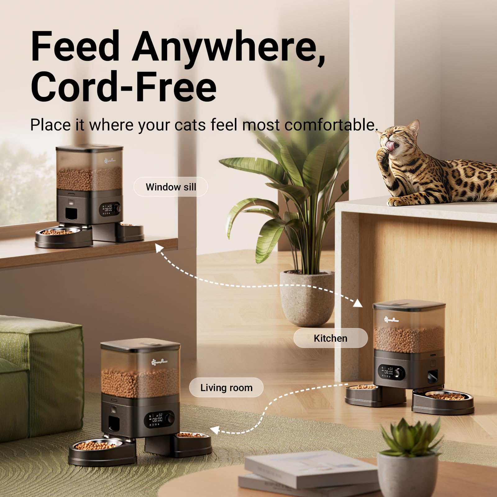 DownyPaws Distributeur Croquettes Chat Automatique, sans Fil avec Minuterie