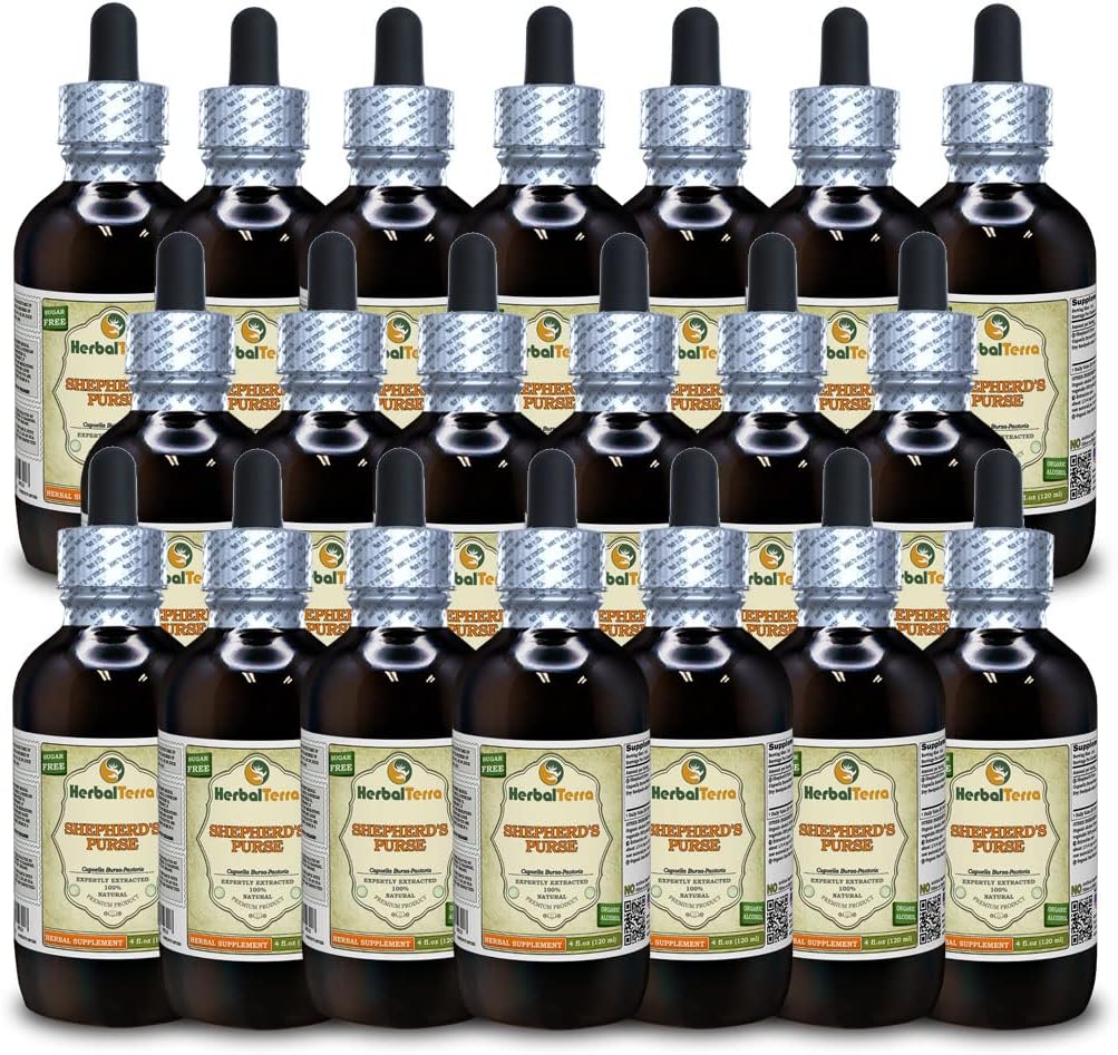 Shepherd's Purse (Capsella Bursa-pastoris) Tincture, Organic Dried Herb Liquid Extract (Brand Name: HerbalTerra, Proudly Made in USA) 4x4 fl.oz (4x120 ml)