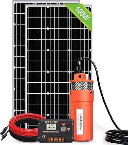 ECO-WORTHY Kit de bomba solar de 200 W, bomba de pozo de agua de 24 V + 2 paneles solares de 100 W + controlador para riego fuera de la red y agua