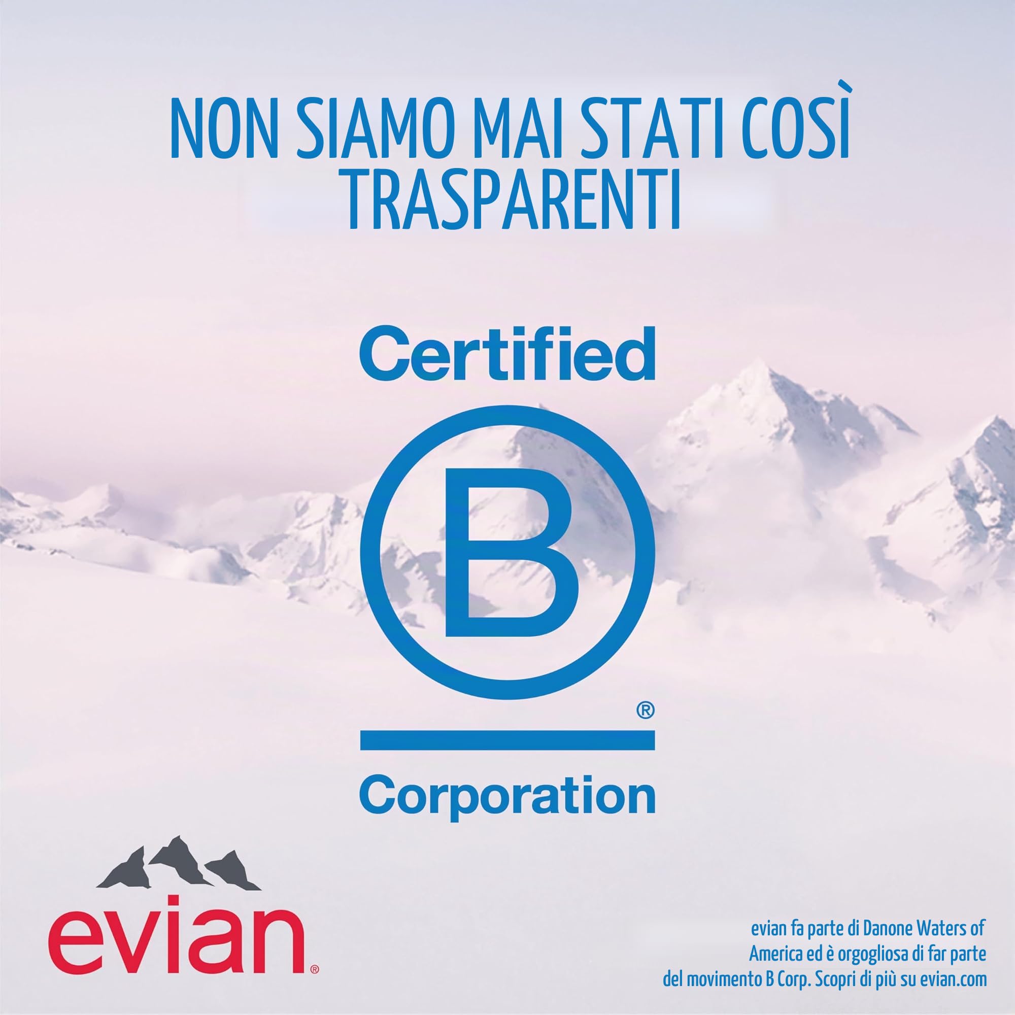 Evian - Acqua di sorgente naturale (una confezione da 12 bottiglie singole, ogni bottiglia è 1 litro) acqua di sorgente filtrata naturalmente in bottiglie grandi