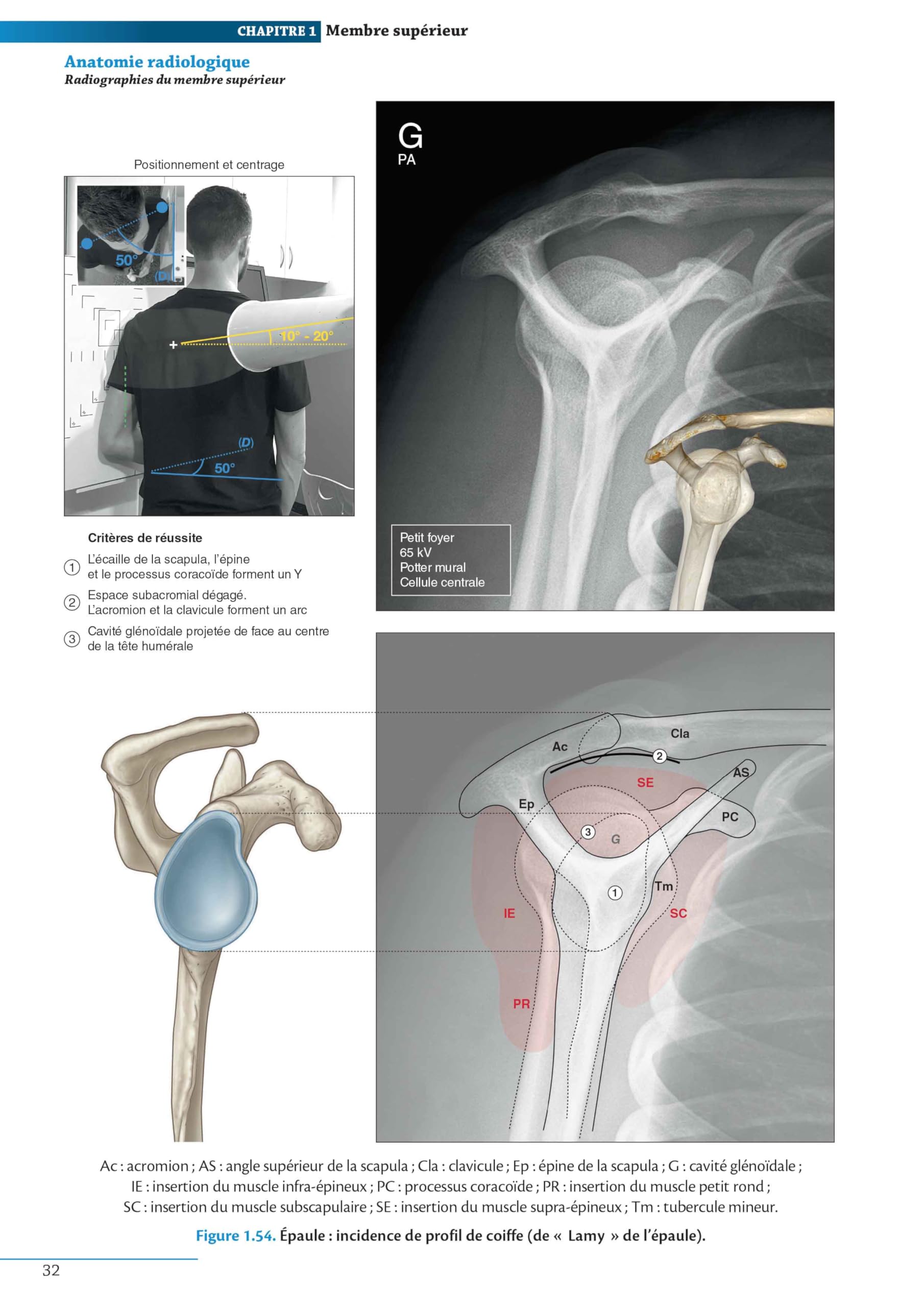Atlas d'anatomie générale et radiologique