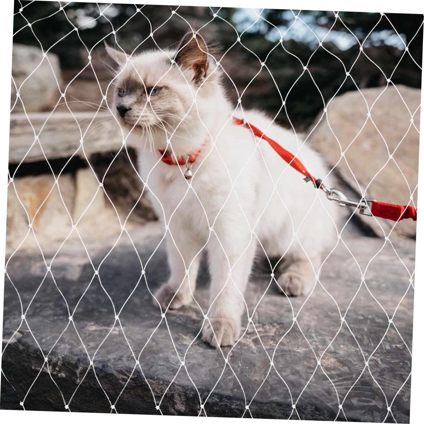 Supvox Netz Balkon Katze ohne Bohren Katzenbalkonnetz aus Nylon Anti Fall und Kratzfest für Balkon und Fenster