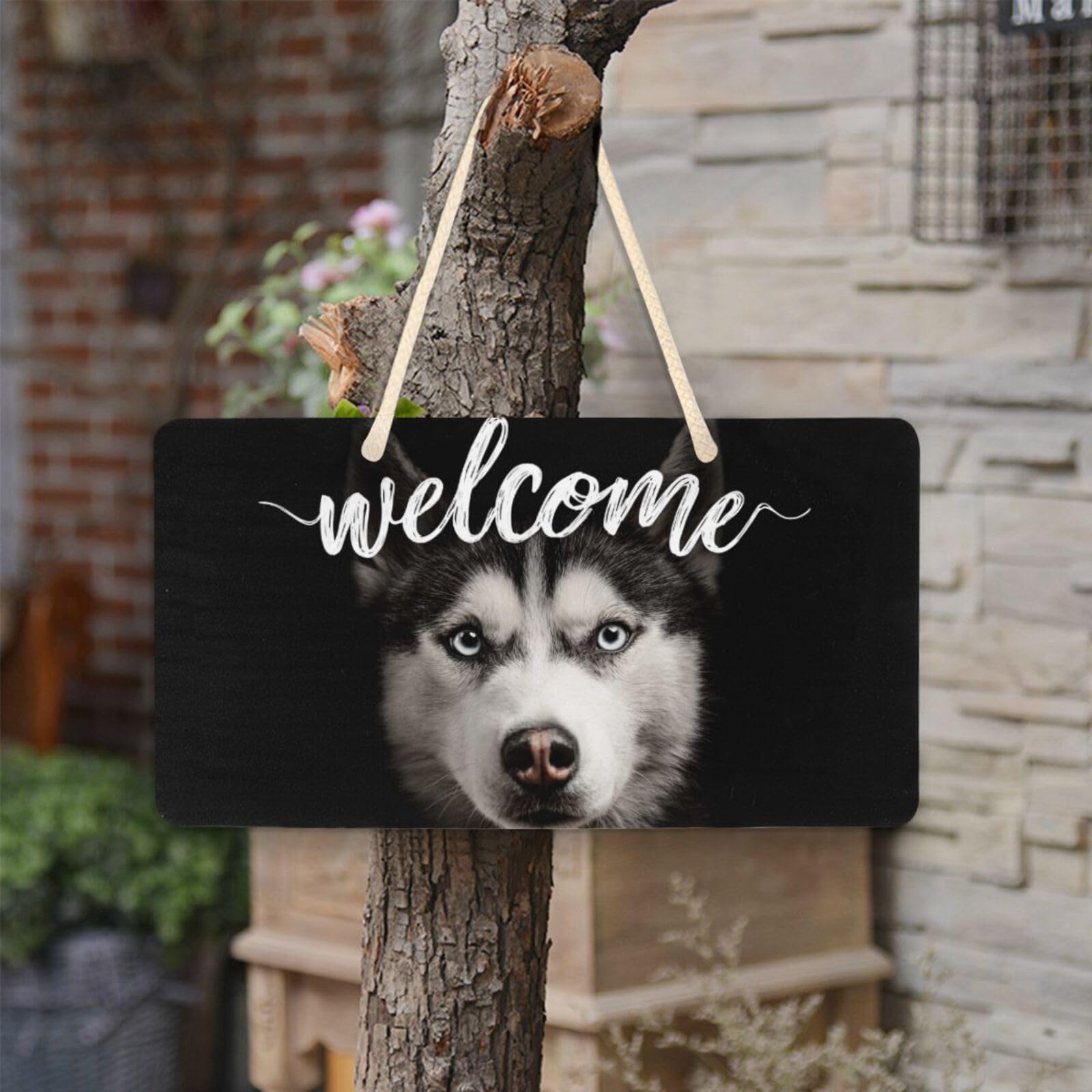 Amazon.com : Vdsrup Funny Husky Dog Door Sign Plaque Cute Animal