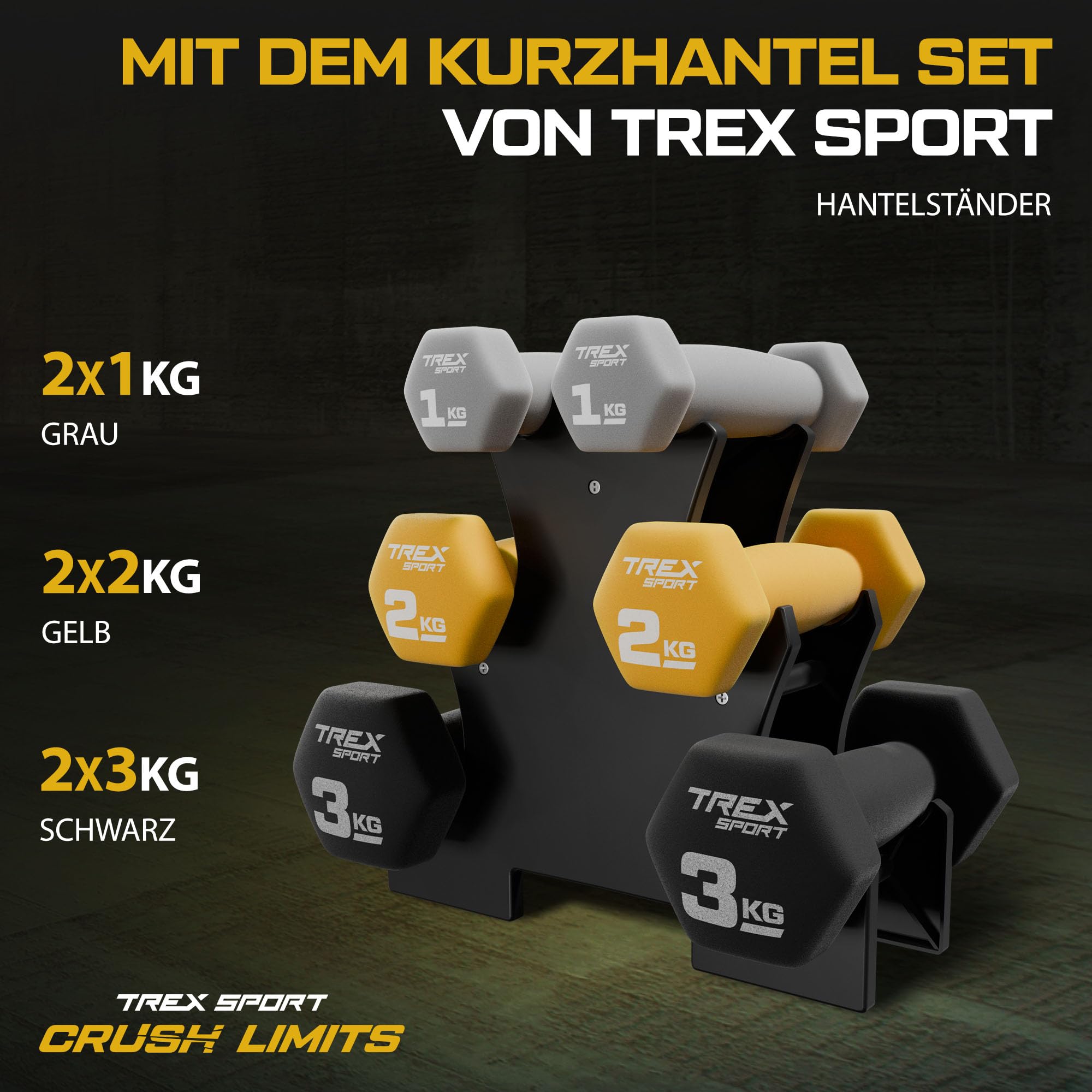 TREX SPORT Zestaw hantli neoprenowych ze stojakiem na hantle | zestaw 6 krótkich hantli 2 x 1 kg, 2 x 2 kg, 2 x 3 kg | zestaw hantli dla kobiet i mężczyzn
