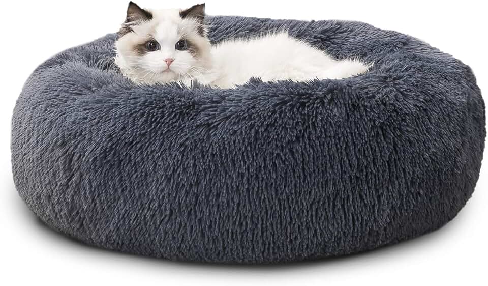 Amazon.co.uk Cat Beds & Blankets