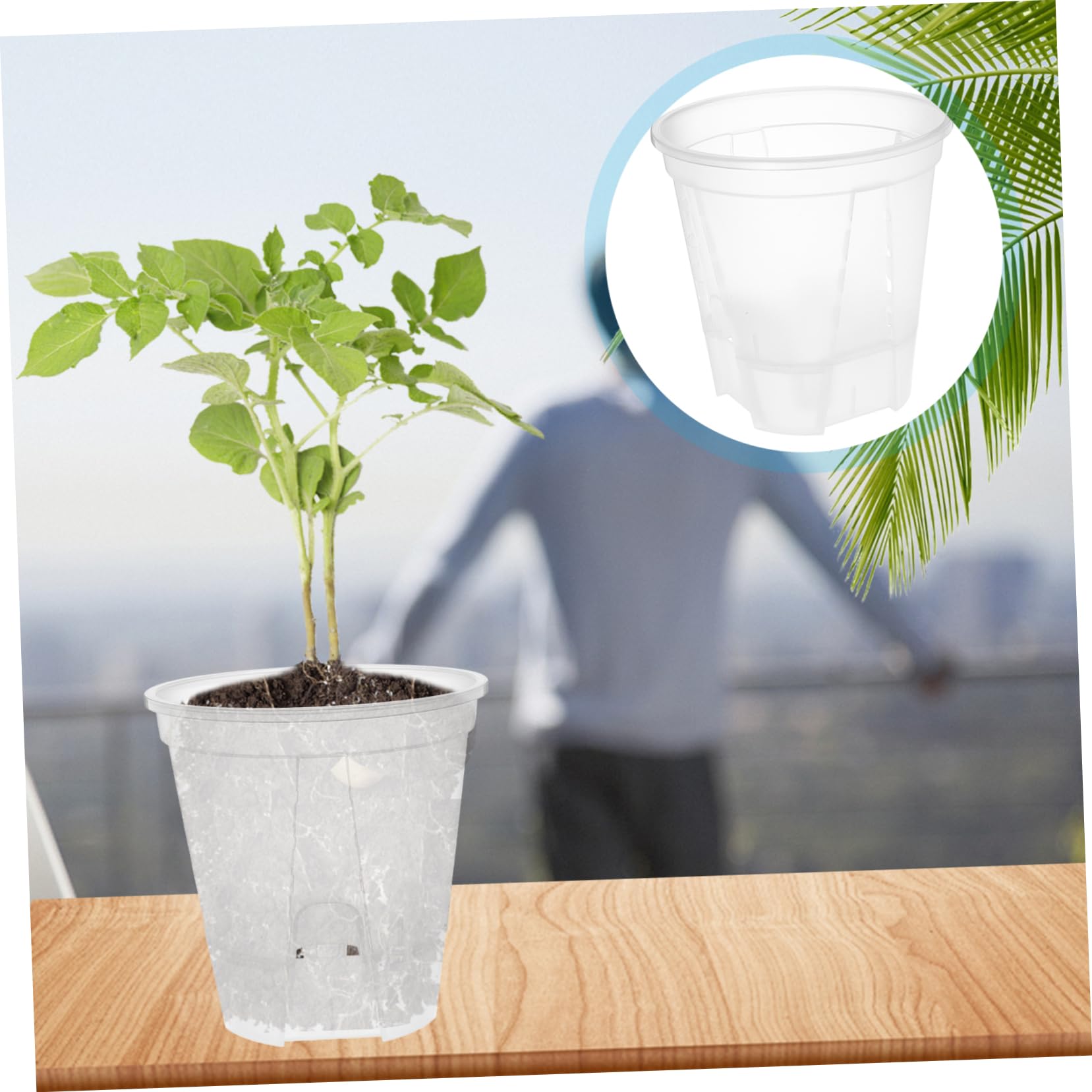 HEMOTON 6 Pièces Pots de Fleurs Transparent avec Drainage Auto Régulant Pots Plastique Clair pour Plantes Intérieur pour Orchidées et Autres Plantes Design Respirant et Portable