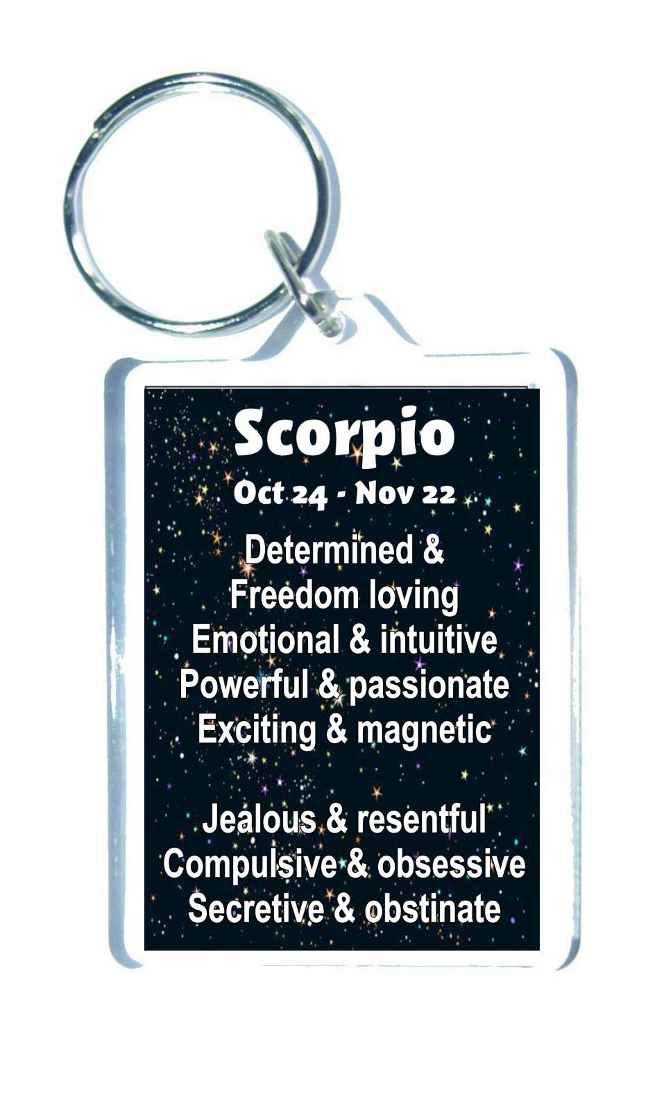 Decalarama Clear Scorpio Star Sign Keyring - Zodiac Horoscope Astrology - Novelty Gift Present