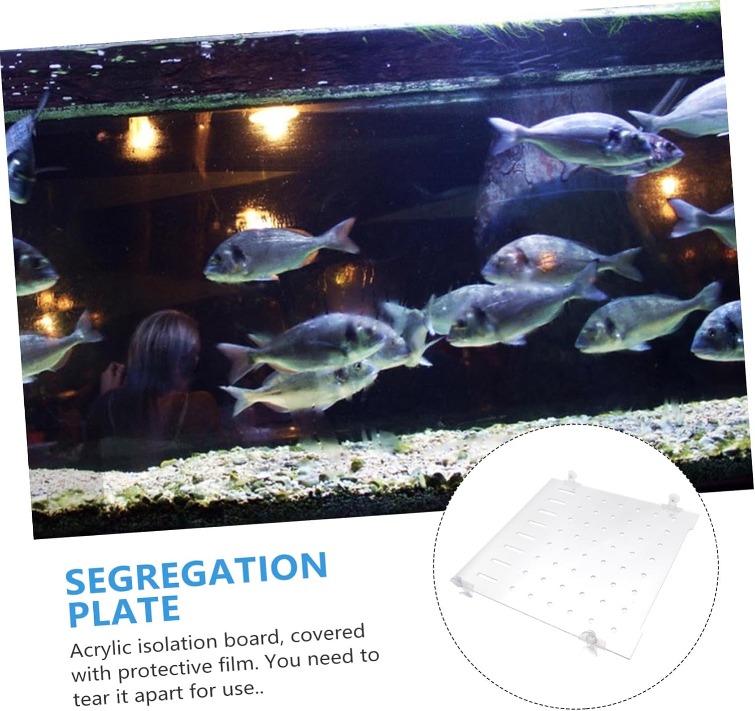 1set Creative Fish Tank Isolation Plate Aquarium Divider for Safe Fish Segregation Easy Installation Includes Fixed Clips Thick
