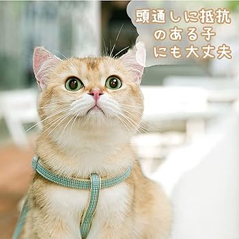 Amazon | 猫用 ハーネス 胴輪 猫具 ねこ ネコ 子猫 散歩 猫胴輪