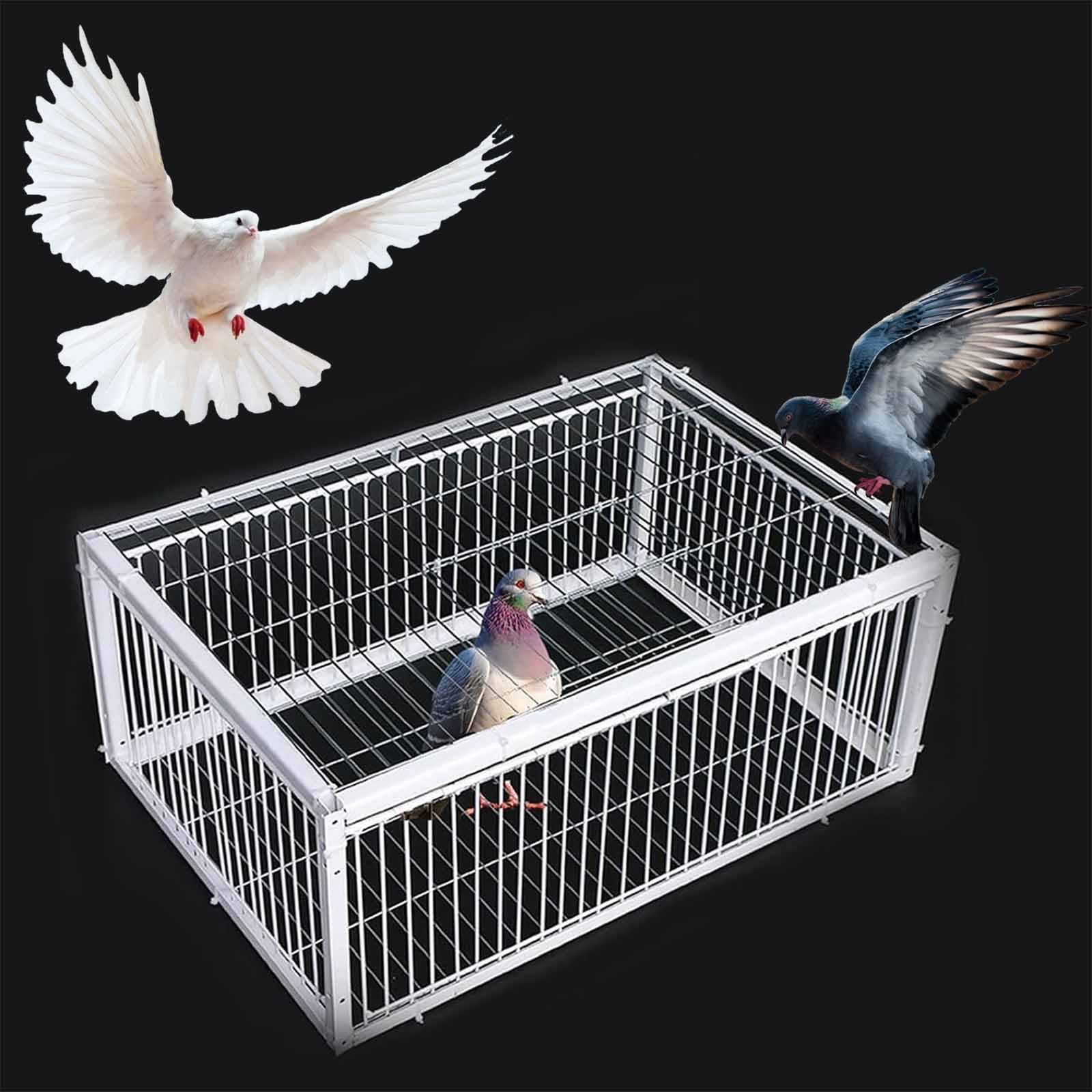Trampa para Pájaros Jaula Trampa Cuatro entradas Trampa para Palomas con tragaluces diseño antiescape Apto para Palomas Loros Cuervos pájaros(60x40x26cm)
